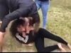One-sided-Girl-Fight.jpg